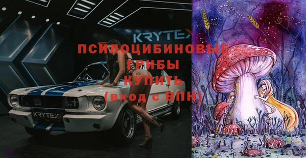 синтетический гашиш Снежногорск