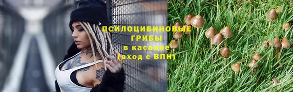 apvp Слюдянка