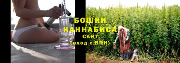 apvp Слюдянка