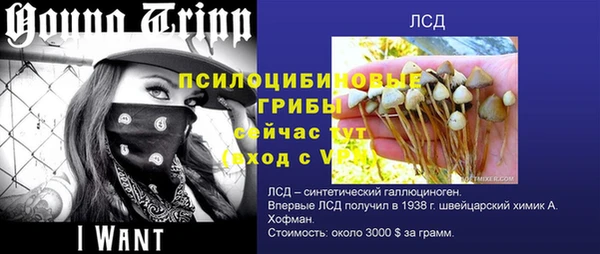 apvp Слюдянка